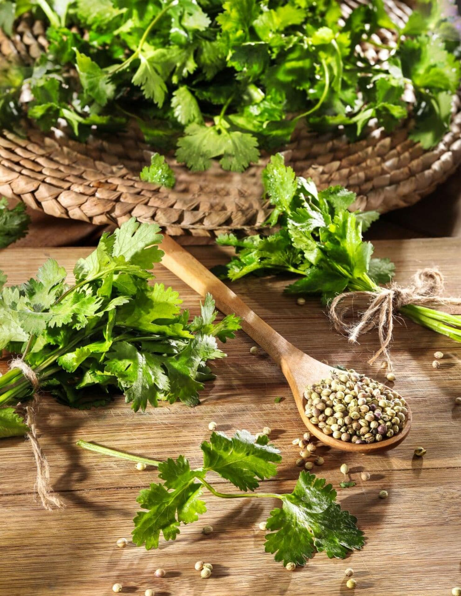 Fresh herbs and spices